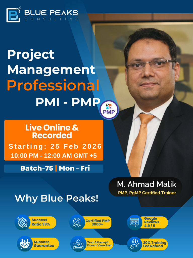 Blue peaks Consulting